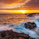 Ocean Spray