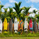 Surfboard Fence Maui - Surfboard Photography for Sale