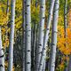 Lucky Find - Landscape Fine Art Prints for Sale