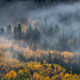 Autumn Mood