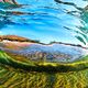 Oceans Eyce - Makena Beach Maui Images for Sale