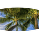 Tropical Breeze | Surfboard Art