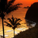 Palm Tree Sunrise