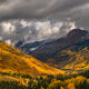 Autumn Is Calling
