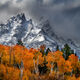 Winters Grip