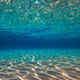 Liquid Oasis