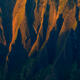 Firelight
