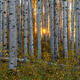 Filtered Light
