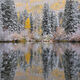 Winters Touch