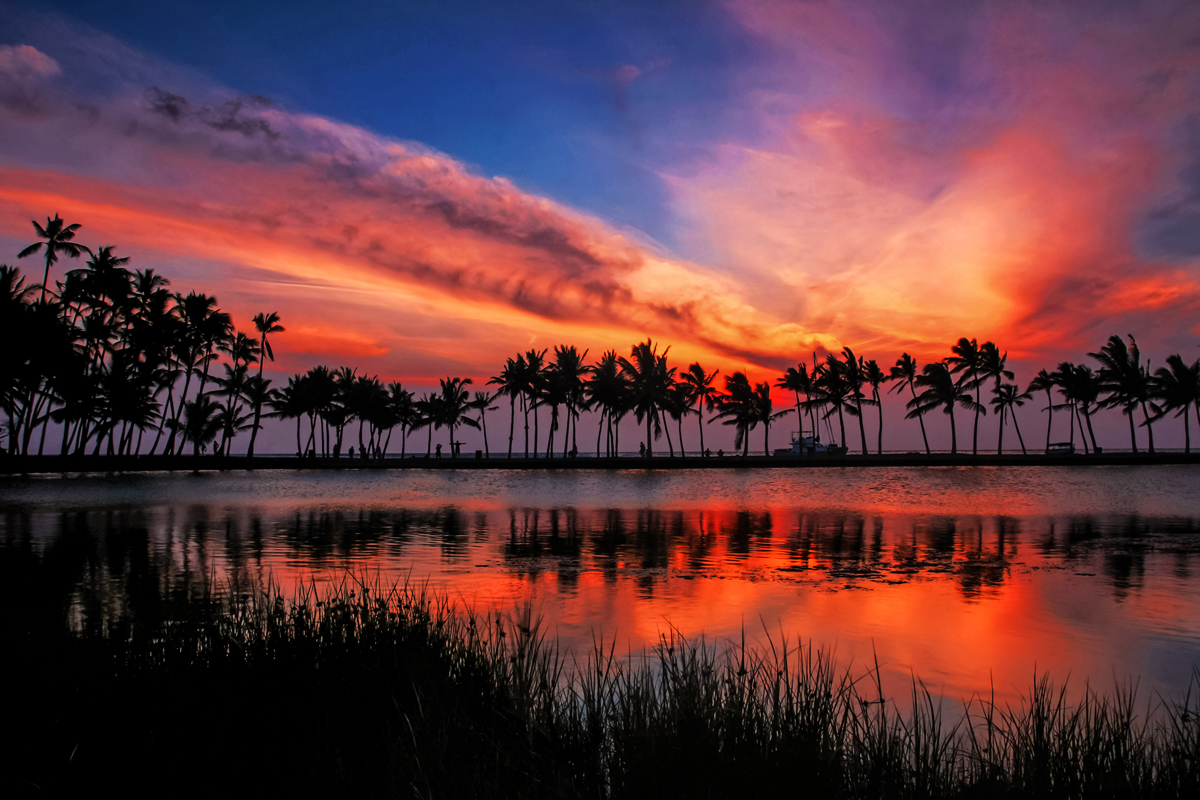 A scene that captures paradise with the palm trees reflecting in a pond along the western side of The Big Island.