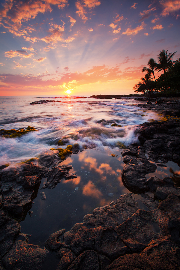 This stretch of coastline was a favorite place of mine to always come and shoot on the BigIsland of Hawaii the palm trees in...