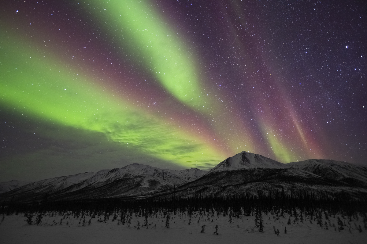 Vibrant tones of purple, red and green Northern Lights dominate the sky.