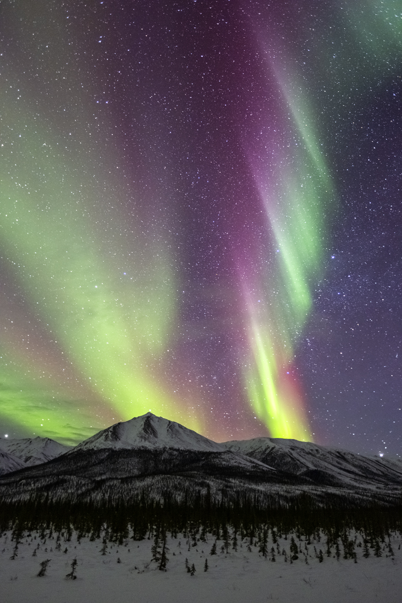 One of the more amazing nights I have ever photographed the Northern Lights. This was taken in the Brookes Range,Alaska about...