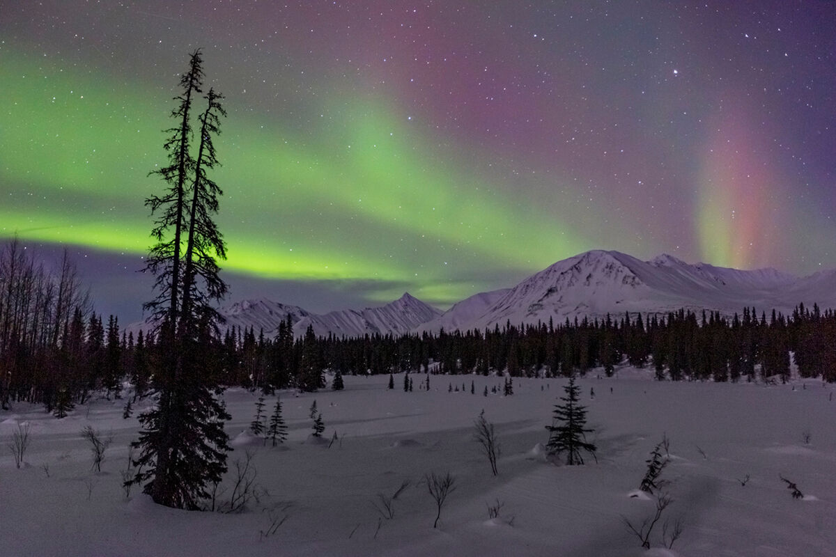 2024 Fairbanks,Alaska Northern Lights Photography