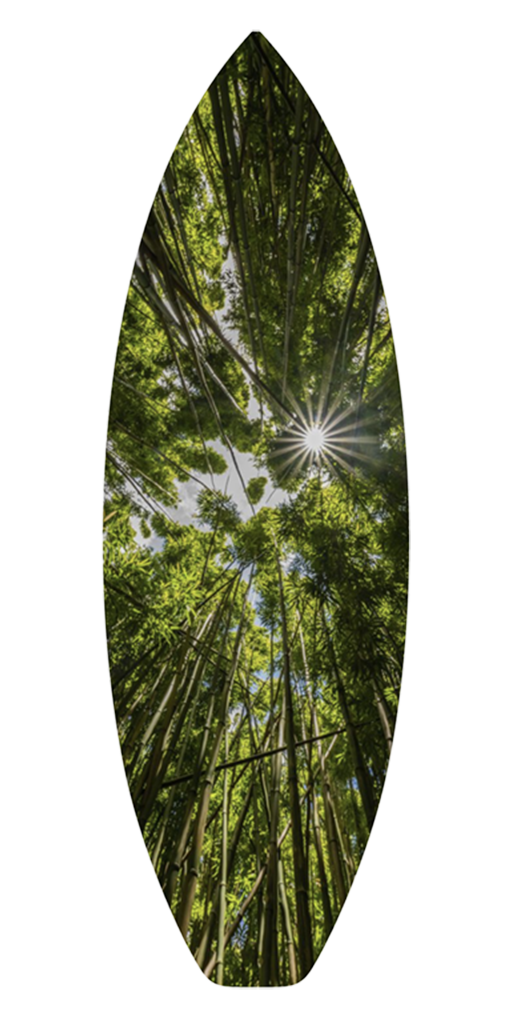tropical Hawaii surfboards for sale