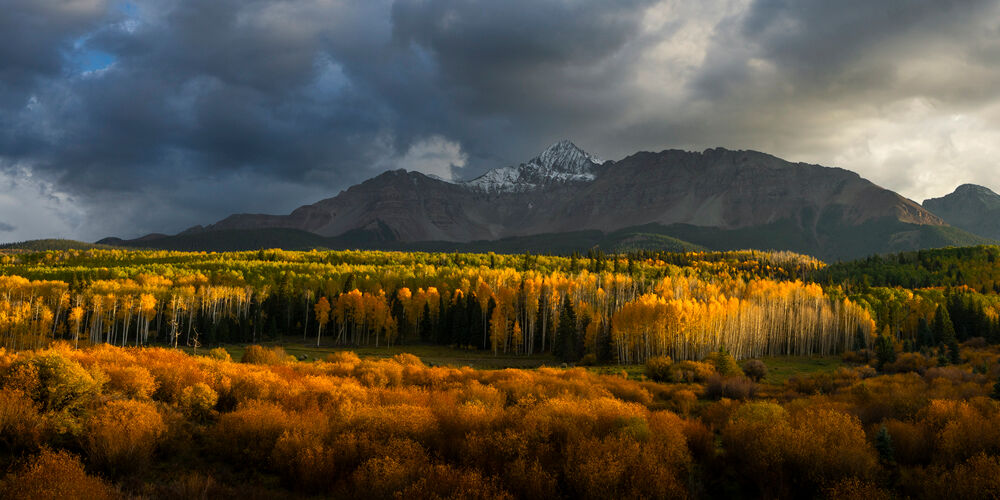 Chasing The Light Mount Wilson rising above brilliant golden aspen trees at peak fall color in Colorado's San Juan Mountains, illuminated by warm sunlight beneath dramatic storm