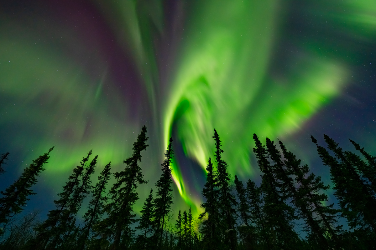2025 Fairbanks,Alaska Northern Lights Photography