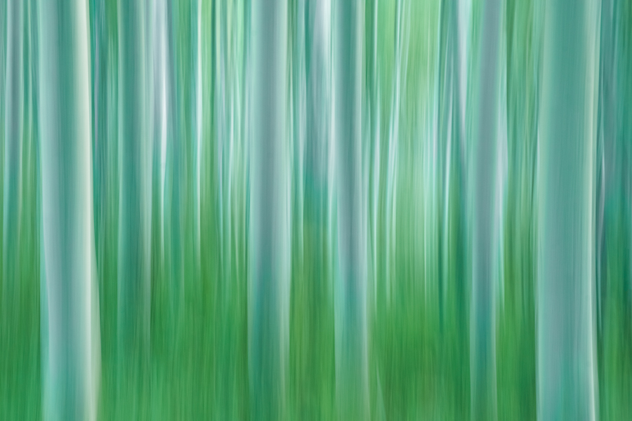 Abstract Photography in Nature for Sale