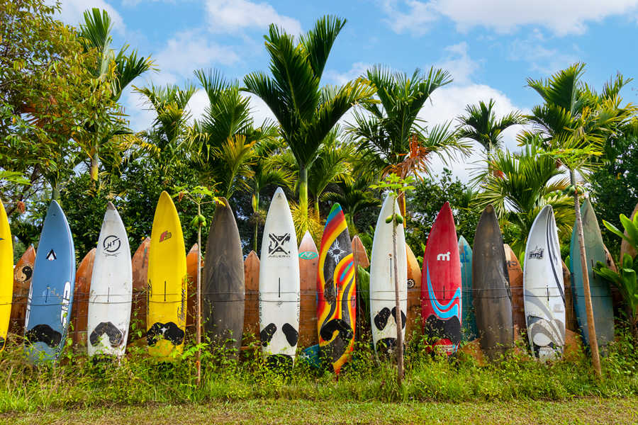 Tin Sign XXL Retro  Surfboards surfing beach Hawaii 