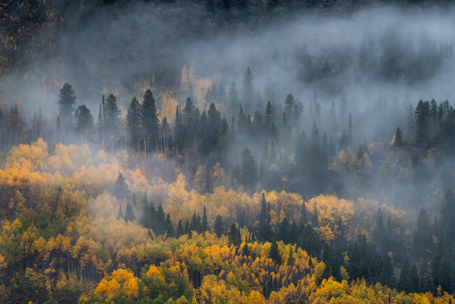 Crested Butte Nature Photography for Sale