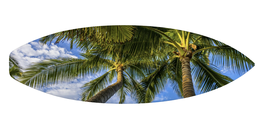 Hawaiian surfboards and tropical decor