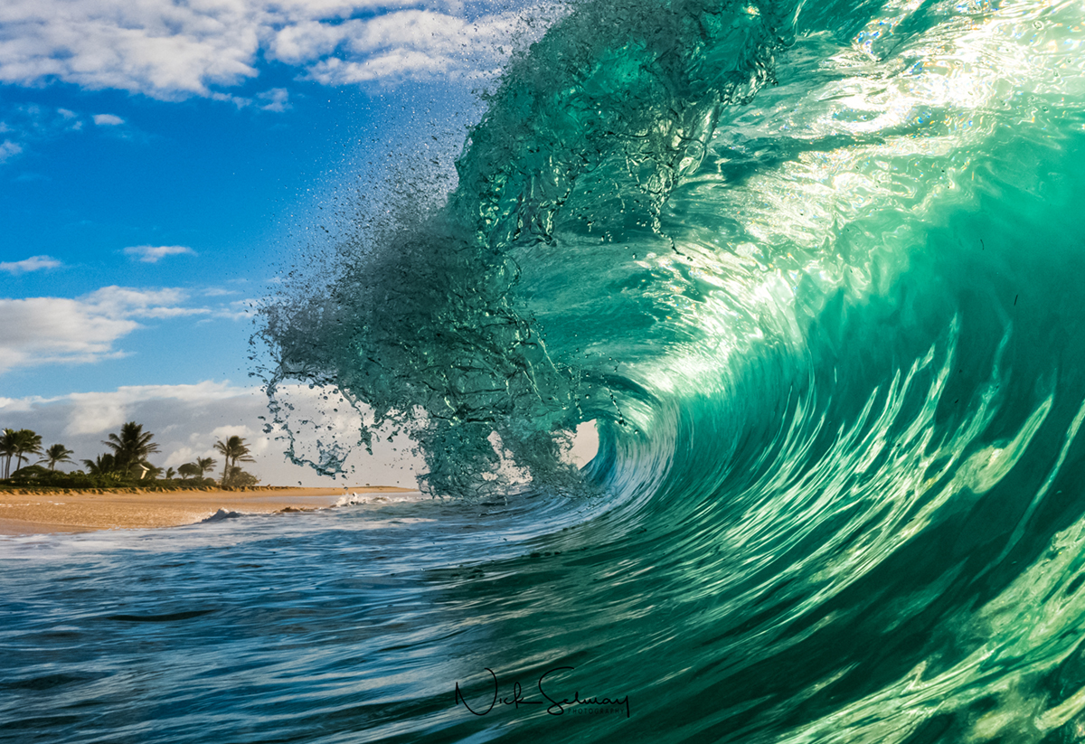 Sandy's Beach in Oahu Photos for Sale