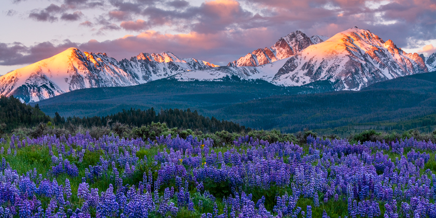 "Touched" Gore Mountain Rage - Fine Art Limited Edition of 100 On June 20th 2018 a storm dumped a foot of snow in Summit County...