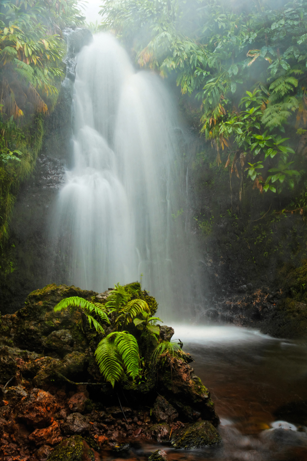 Hawaii has many hidden gems like this waterfall located high above Waipio Valley on "The White Road Hike".